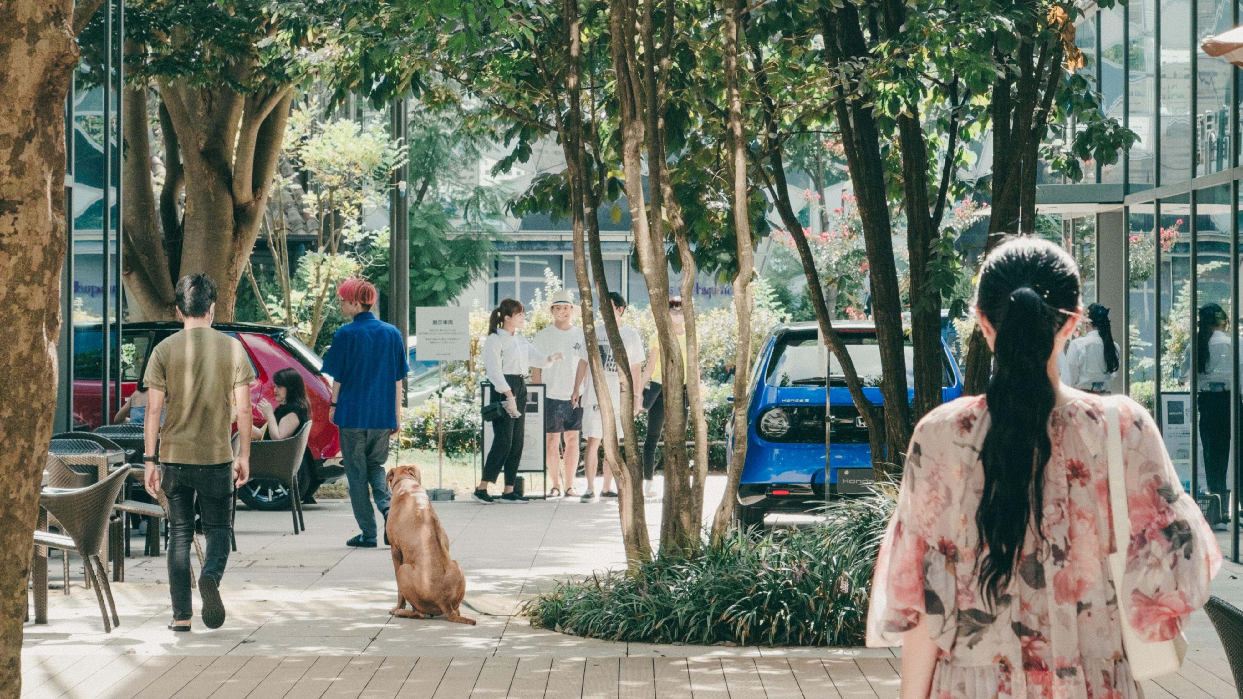 データベースマーケティング事業の説明画像です