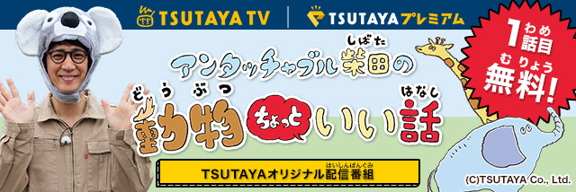 Tsutaya Tv オリジナル作品 親子で見たい動物知育番組 アンタッチャブル柴田の動物ちょっといい話 4月11日 水 配信スタート ニュース Ccc カルチュア コンビニエンス クラブ株式会社